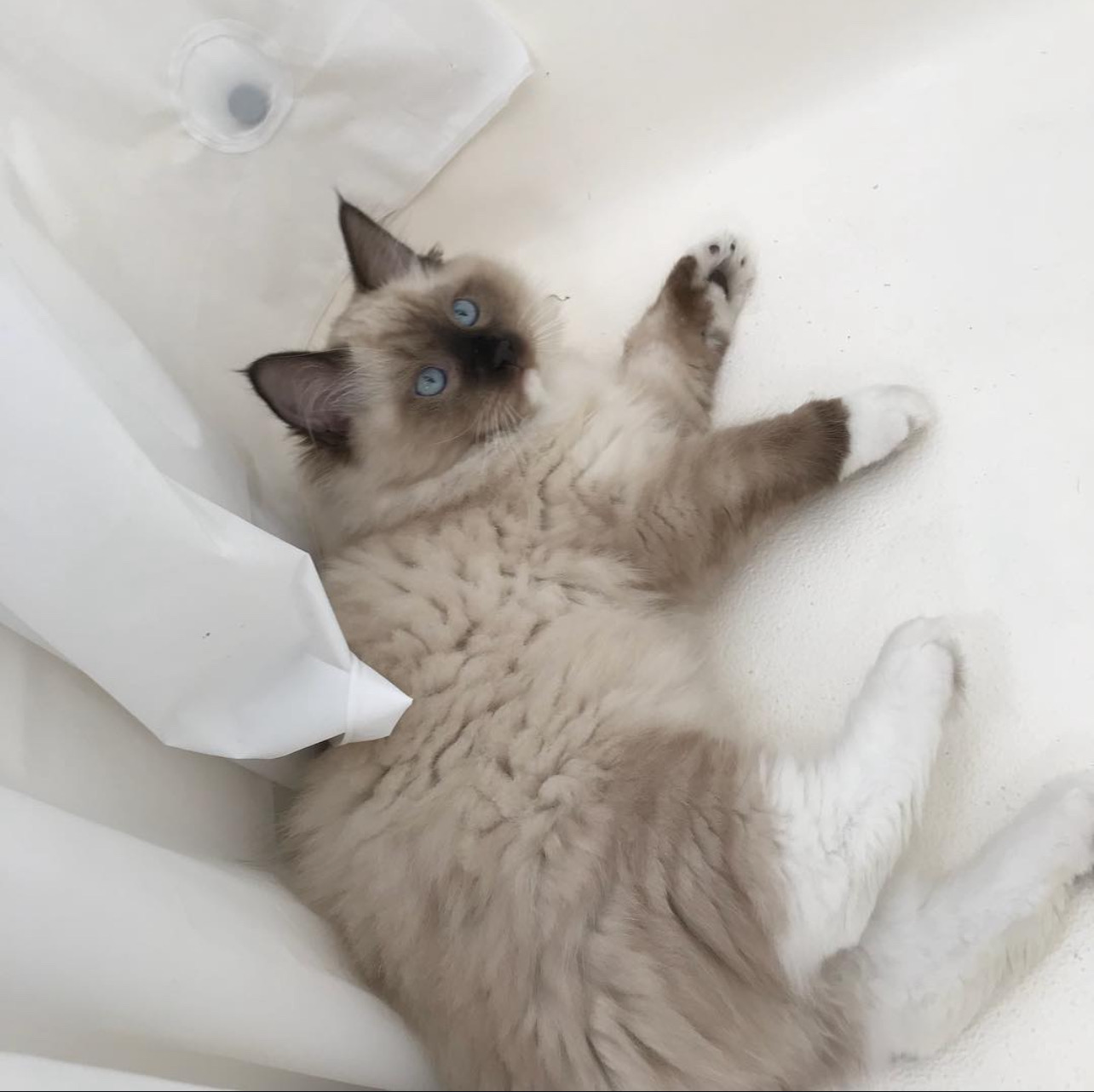 Bathtime