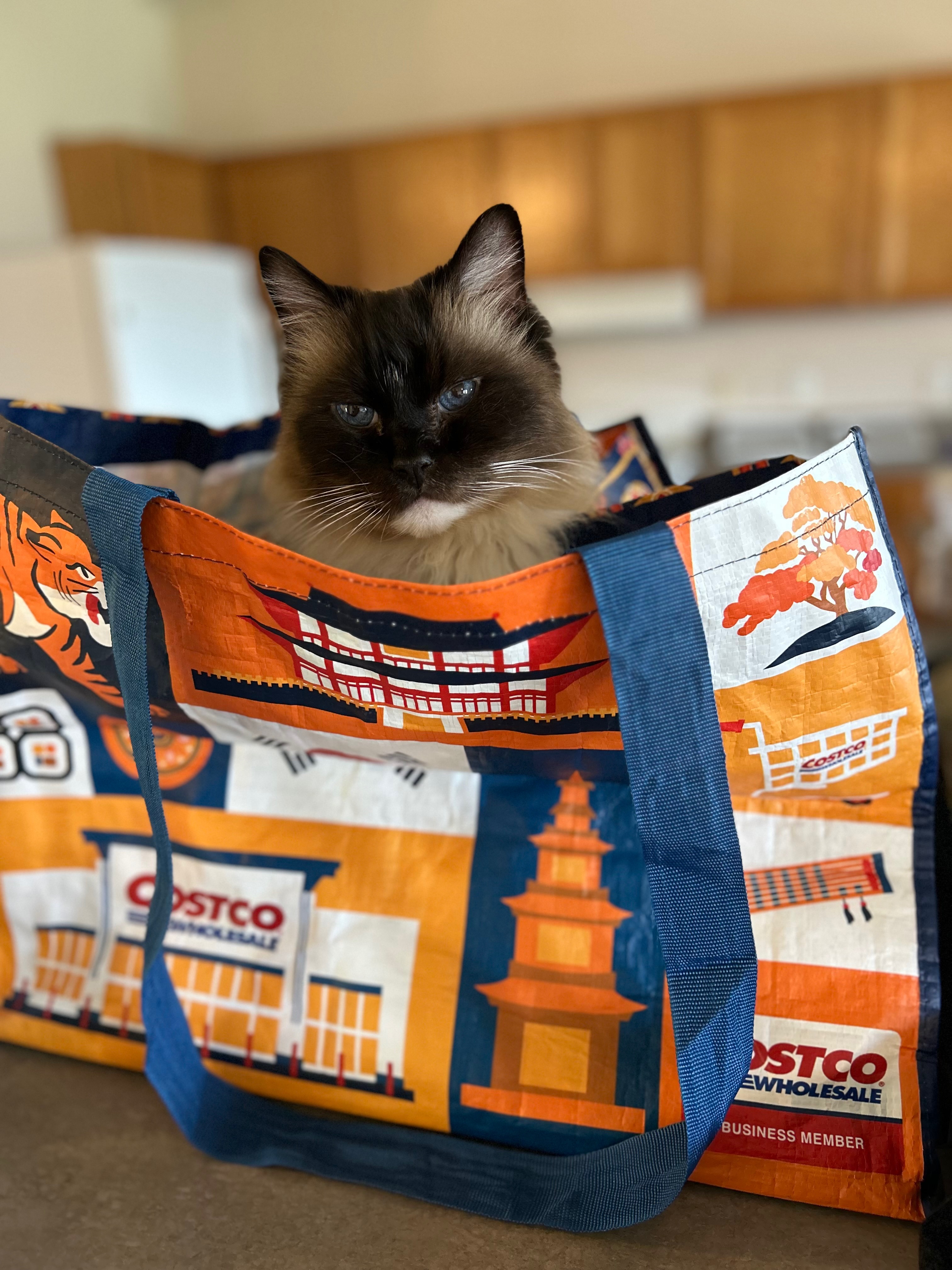 I'm coming to Costco